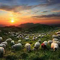 Picture for song 'That Wholesome Love' by artist 'Stevey D'