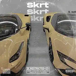 Picture for song 'Skrt' by artist '8lurdy'