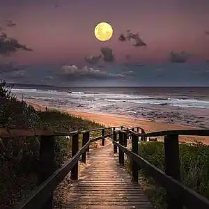 Picture for song '5 AM' by artist 'Steampipe Studio'