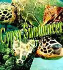 Picture for song '27 010 Gypsy Sundancer' by artist 'WebWorks James Stonecipher'