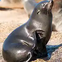 Picture for song 'YOU- BRAND NEW' by artist 'AC What'