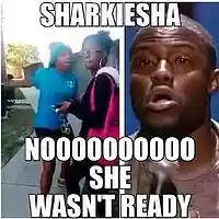 Picture for song 'SHARKESHA' by artist 'beatsbyjm'