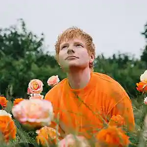 Picture for song 'DREAMS [BUY 1 GET 2 FREE]' by artist 'HeFTy'