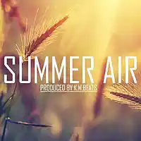 Picture for song '*GUITAR* Summer Air - FREE DL' by artist 'KMBeatsOfficial'