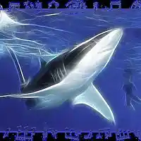 Picture for song 'Coronado's Ocean Adventure' by artist 'SoundworldA.D.'