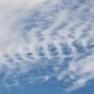 Picture for song 'electric' by artist 'ziad'