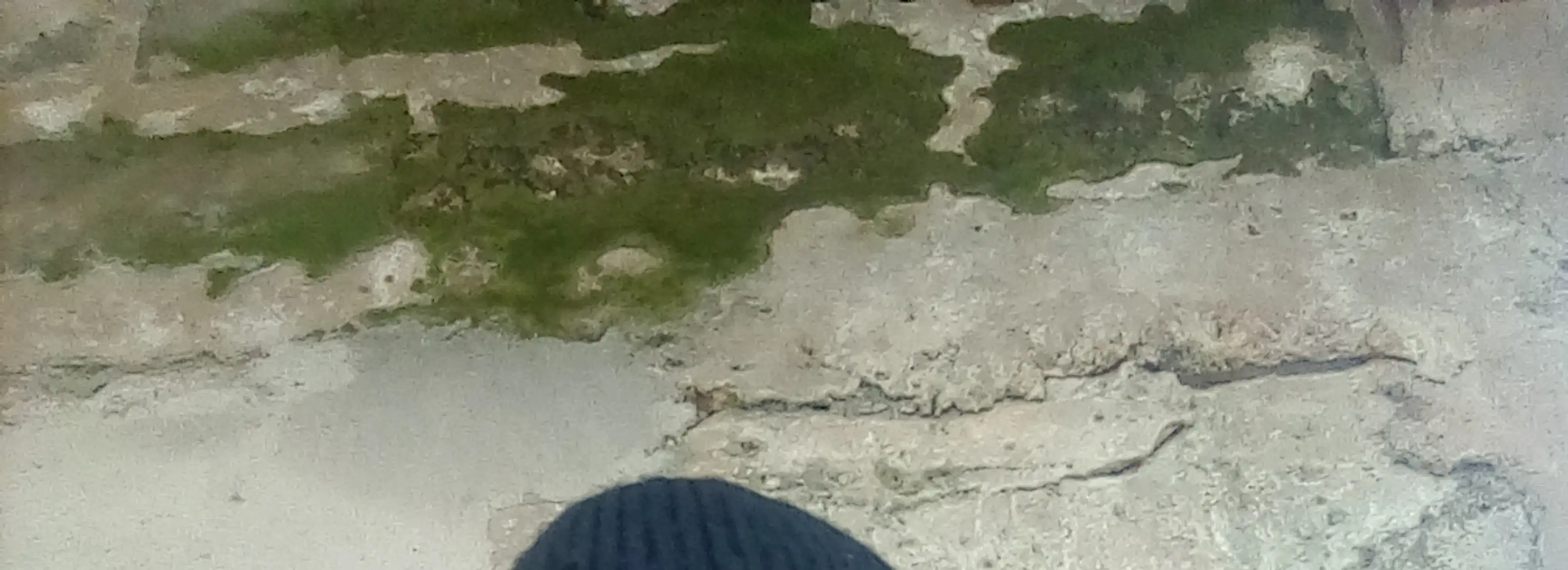 cover pic