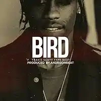 Picture for song 'Bird' by artist 'AndreOnBeat'
