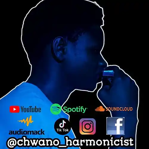 cover pic