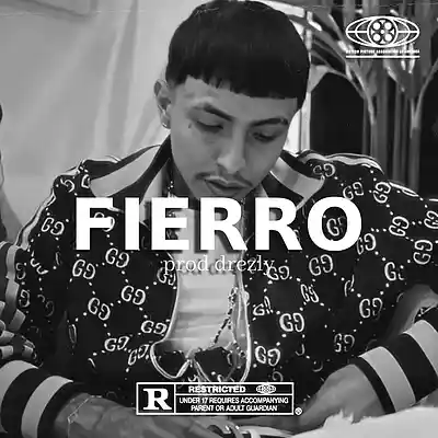 Picture for song '"FIERRO" Detroit Sample Type Beat' by artist 'drezly'