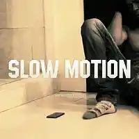 Picture for song 'Slow Motion (FREE DL)' by artist 'Dzo Beatz'