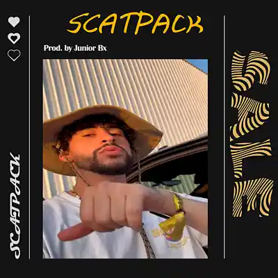 Picture for song 'SCATPACK' by artist 'Junior on the beat'