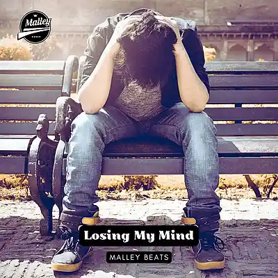 Picture for song 'LOSING MY MIND [JELLY ROLL TYPE BEAT]' by artist 'Malley Beats'