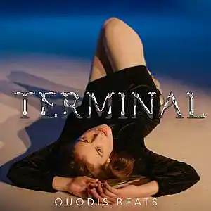 Picture for song 'TERMINAL - Dark R&B Instrumental' by artist 'Quodis'