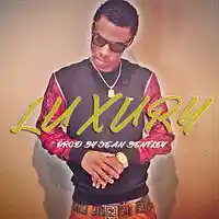 Picture for song '*Luxury*New Dirty South HIT (Free DL)' by artist 'Sean Bentley'