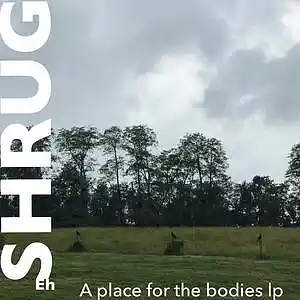 Picture for song 'a place for the bodies side A' by artist 'SHRUG (ohio)'
