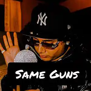 Picture for song 'Same Guns (West Coast Type Beat' by artist 'Too Loud Beatz'