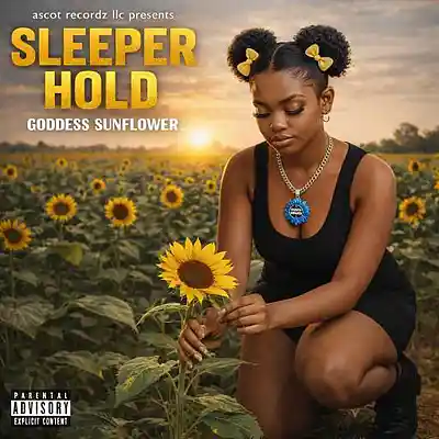 Picture for song 'Sleeper Hold' by artist 'Ascot Recordz LLC'