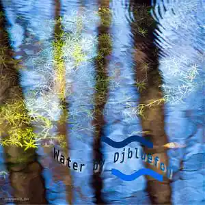 Picture for song 'Water' by artist 'DjBlueFog'