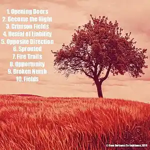 Picture for song 'Fields' by artist 'FROM DARKNESS TO EMPTINESS'