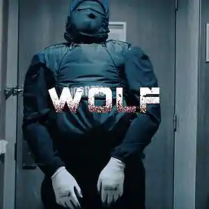 Picture for song 'Wolf' by artist 'Chris Giotis'