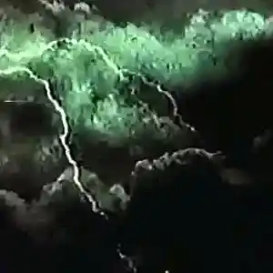 Picture for song 'Jelly' by artist 'Hella White Family'
