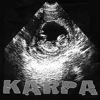 Picture for song 'Niels (where are you ?)' by artist 'Jaq Karpa'