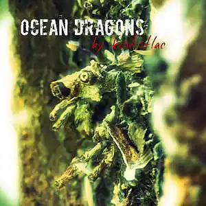 Picture for song 'OCEAN DRAGONS' by artist 'Kostistlac'