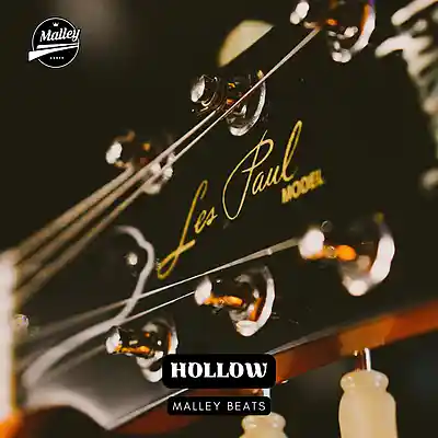 Picture for song 'HOLLOW [COUNTRY ROCK TRAP BEATS]' by artist 'Malley Beats'