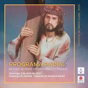 Picture for song 'Domingo de Ramos, 2 de abril' by artist 'Producciones Vandor'