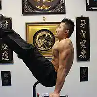 Picture for song 'Heartbroken Man' by artist 'Sifu Freddie Lee'