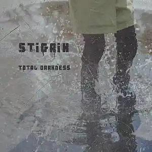 Picture for song 'Total Darkness' by artist 'StigriX'