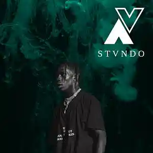 Picture for song 'Travis Scott type beat "POURING"' by artist 'STVNDO'