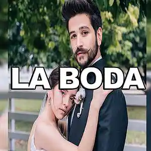 Picture for song 'LA BODA' by artist 'Tiniwan'