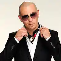 Picture for song 'Pitbull Pop Type Beat **NEW** - Sun Goes (120 BPM)' by artist 'Tony Alva Beats'