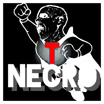 Picture for song 'Walkers' by artist 'Turtle Necromancer'