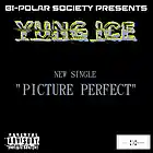 Picture for song '"Picture Perfect" by Yung Ice' by artist 'Bi-polar society'