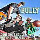 Picture for song 'Bully feat. Enzyme Dynamite' by artist 'Conscious Souls'