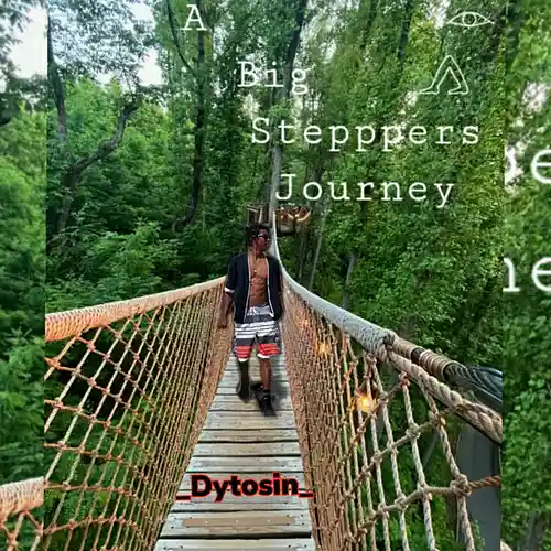Picture for song 'The Bounce King Dy' by artist 'Dytosin'