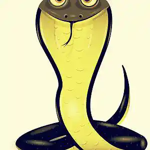 Picture for song 'Cobra (DABABY TYPE BEAT) - Devezin.com' by artist 'Devezin'