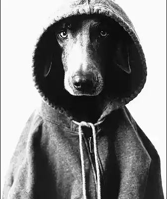 Picture for song 'Forestside - In da hood.mp3' by artist 'Forestside Beats'