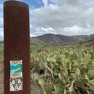 Picture for song 'Option B' by artist 'Gagmesharkoff'