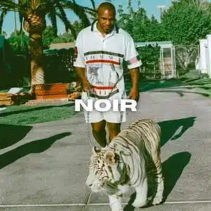 Picture for song '"NOIR" - BUY 1 GET 1 FREE (PROD KXDET)' by artist 'KXDET'