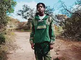 Picture for song 'The Message Polo G Free DL' by artist 'Martin R'