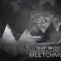 Picture for song 'Trap' by artist 'MeetchMusic'