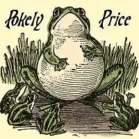 Picture for song 'Eyes In The Grass' by artist 'POKELY PRICE'