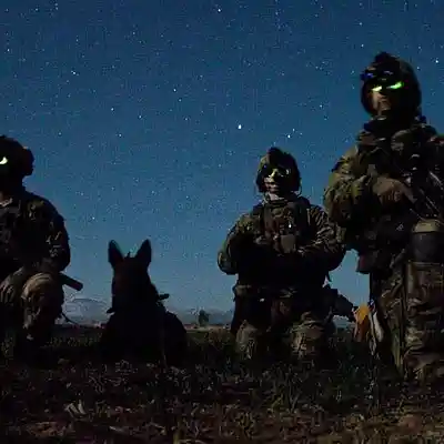 Picture for song 'Nail 1st edit' by artist 's9undV1ZNZ K 0 D 3 7'