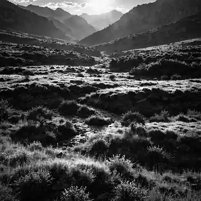 Picture for song '[FREE] Search * HIP HOP BEAT * BOOM BAP TYPE BEAT*' by artist 'S.A.I beats'