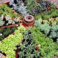 Picture for song '171029 How to be a Witness for Jesus' by artist 'St Johns Church Sermons'