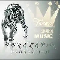 Picture for song 'MY STYLE IS INSTRUMENT' by artist 'TONEzEp1K Pro'